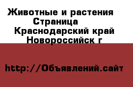  Животные и растения - Страница 34 . Краснодарский край,Новороссийск г.